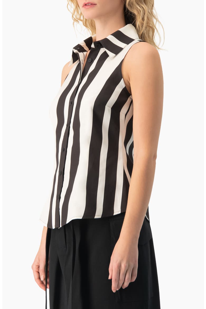 Bold Vertical Stripe Sleeveless Fitted Button-Front Shirt, Alternate, color, Black
