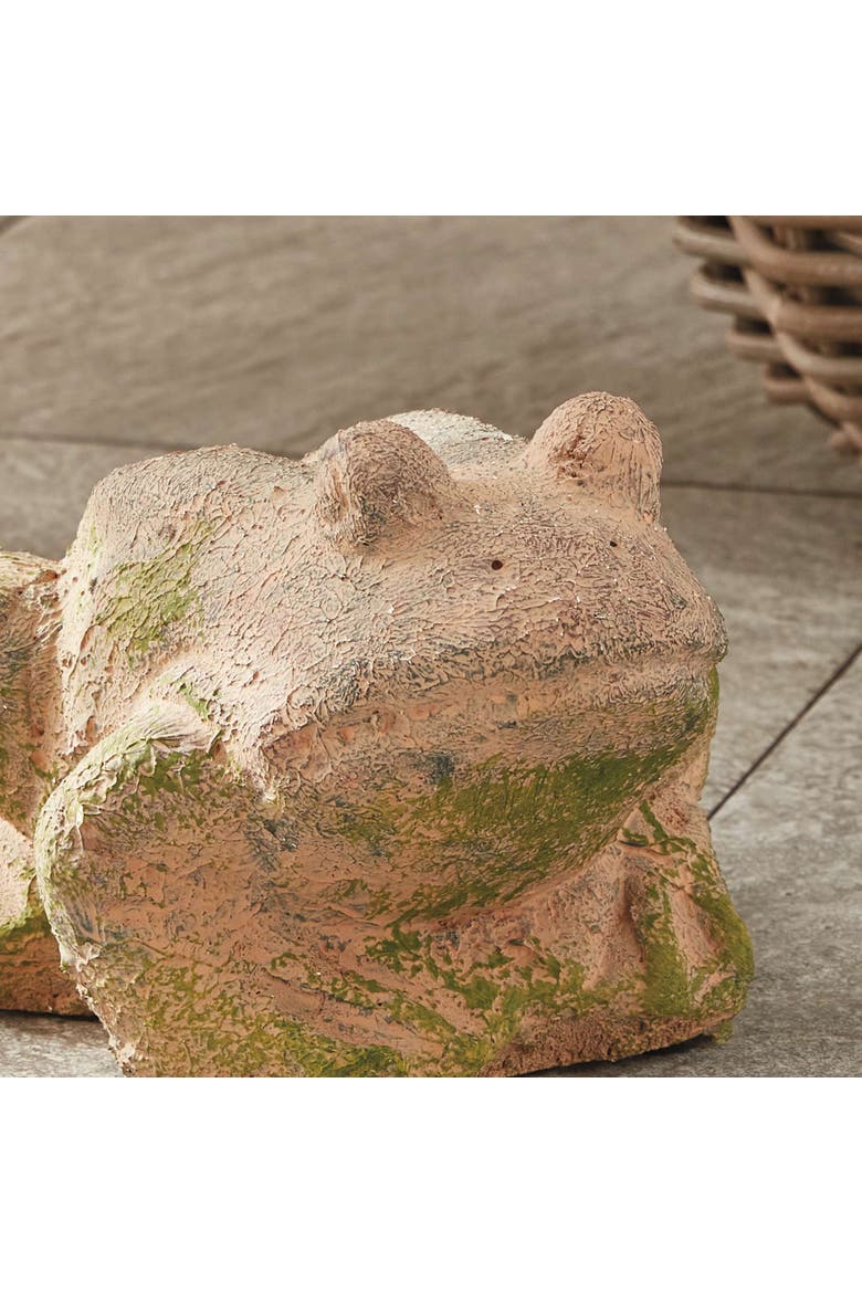 Weathered Garden Frog, Alternate, color, Brown