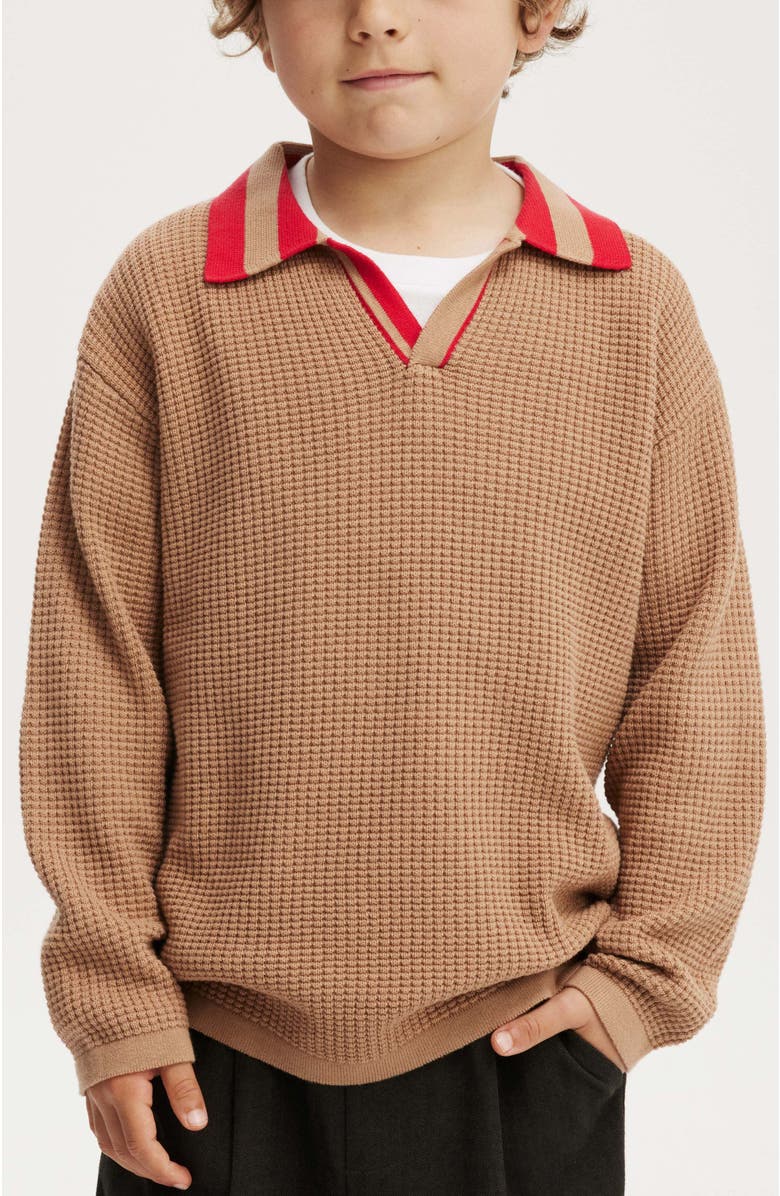 Cotton On Kids Kid's Preston Long Sleeve Knit Polo, Main, color, 