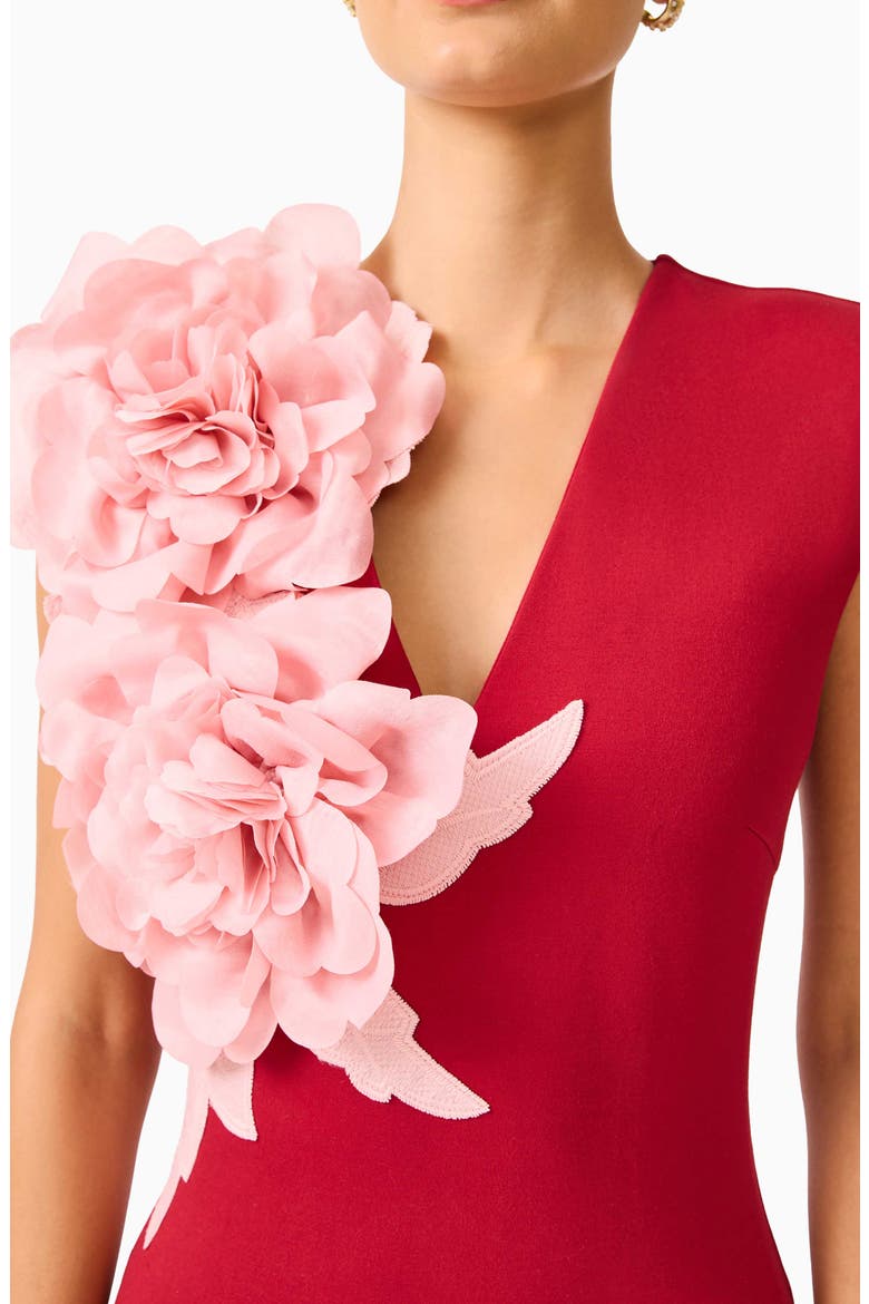 Zahara Floral Appliqué Sleeveless Gown, Alternate, color, BURGUNDY