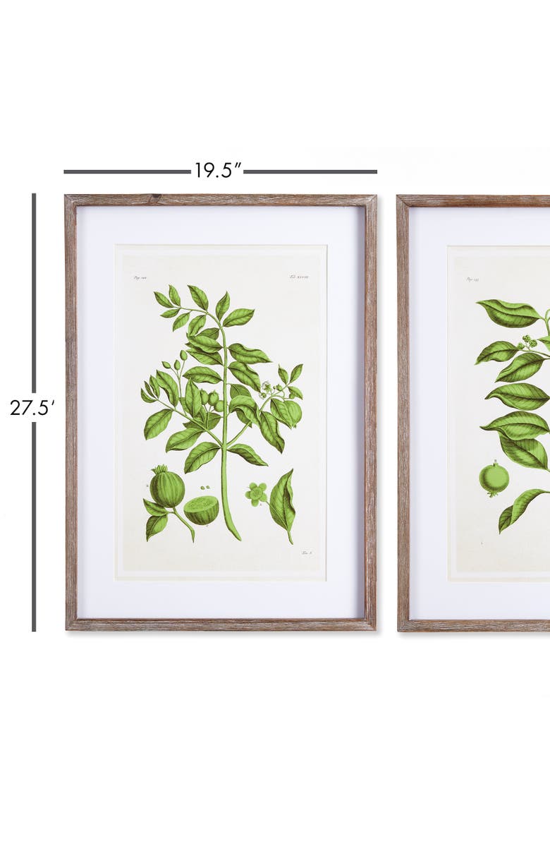 Napa Home & Garden Guava Prints Set of 2, Alternate, color, Green