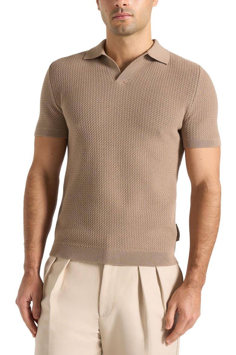 Rowen Textured Knit Revere Polo Shirt, Alternate, color, Taupe