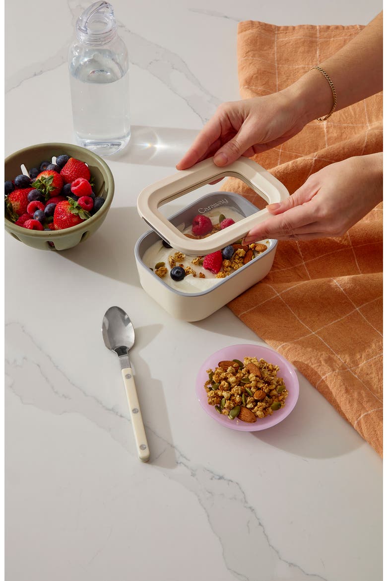 Mini Rectangle Glass Food Storage Container, Alternate, color, MIST