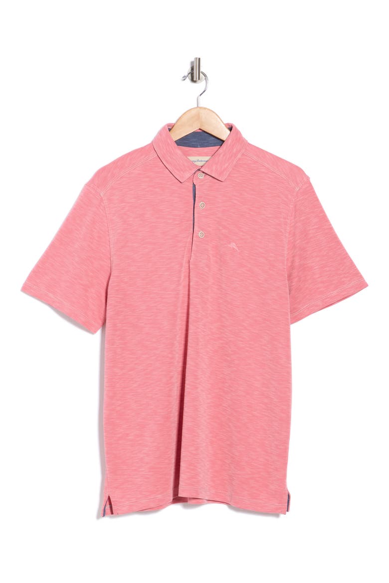 Paradiso Polo, Alternate, color, CLARETE