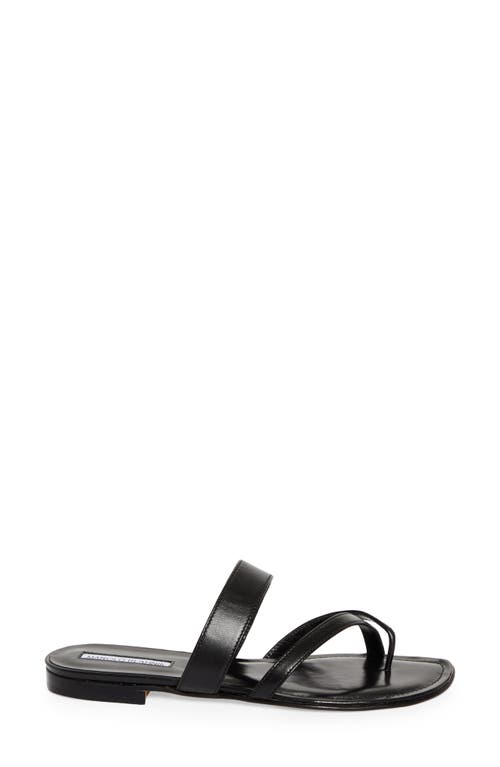Manolo Blahnik Susa Crossover Sandal In Black