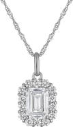 FZN 10k Gold Lab Grown Diamond Halo Pendant Necklace