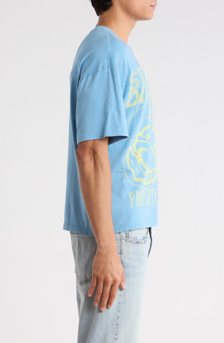 PacSun State Dept. Cotton Graphic T-Shirt, Alternate, color, Blue