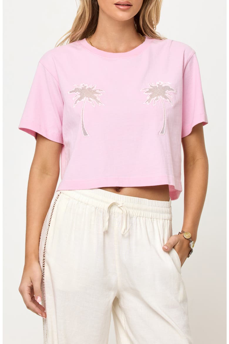 Core Cover-Up T-Shirt, Main, color, ROSEWATER/ NATURAL