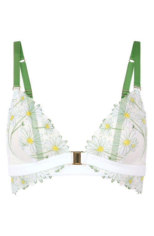 Huit Dance Des Fleurs Embroidered Mesh Bralette In Floral Green