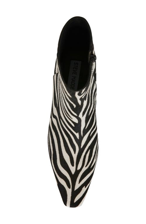 Steve Madden Delvie Zebra Faux Calf Hair Bootie In Zebra