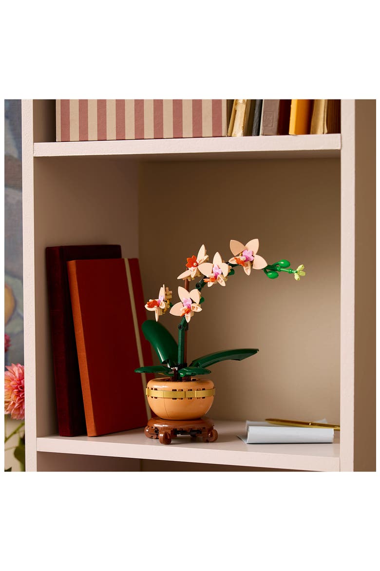 18+ Botanicals™ Mini Orchid - 10343, Alternate, color, MULTI