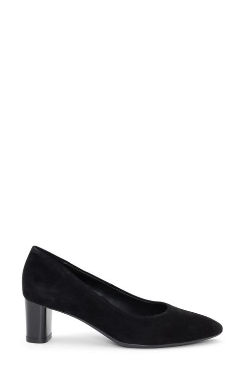 Ara Lancashire Pump In Black