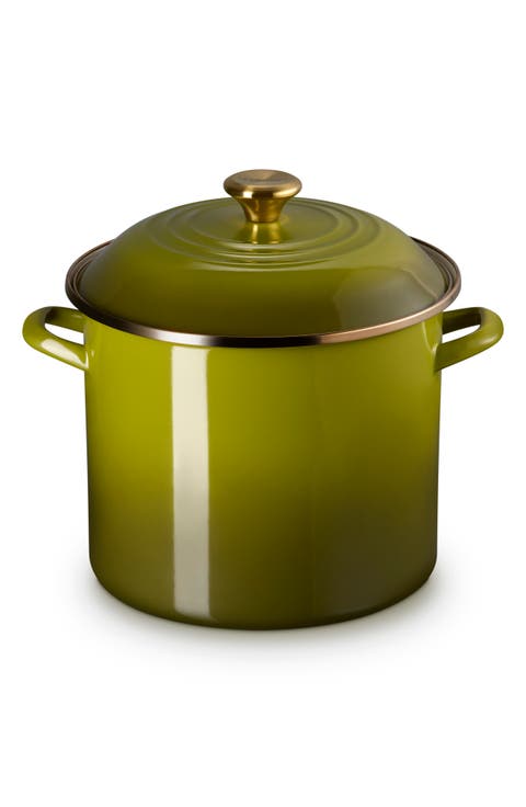 Enameled Stainless Steel Stockpot