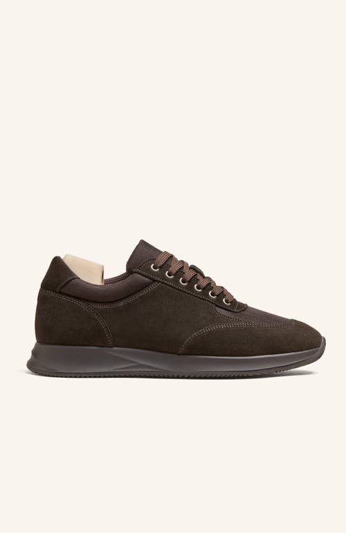 Myrqvist Stensund Sneakers In Brown