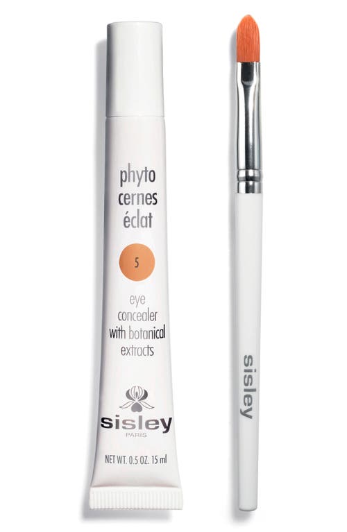 Sisley Paris Phyto-Cernes Éclat Eye Concealer in 5 Deep 