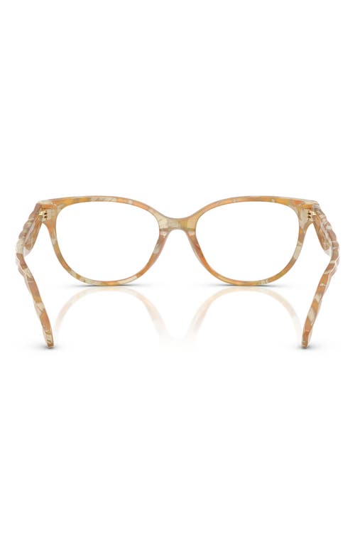 Tory Burch 53mm Phantos Optical Glasses In Honey Horn