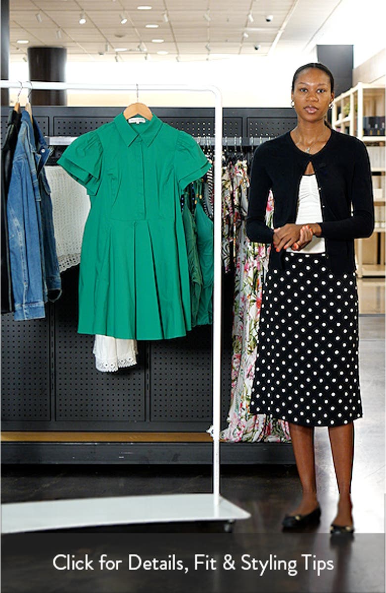 Ruffle Sleeve Flare Mini Shirtdress, sales video thumbnail