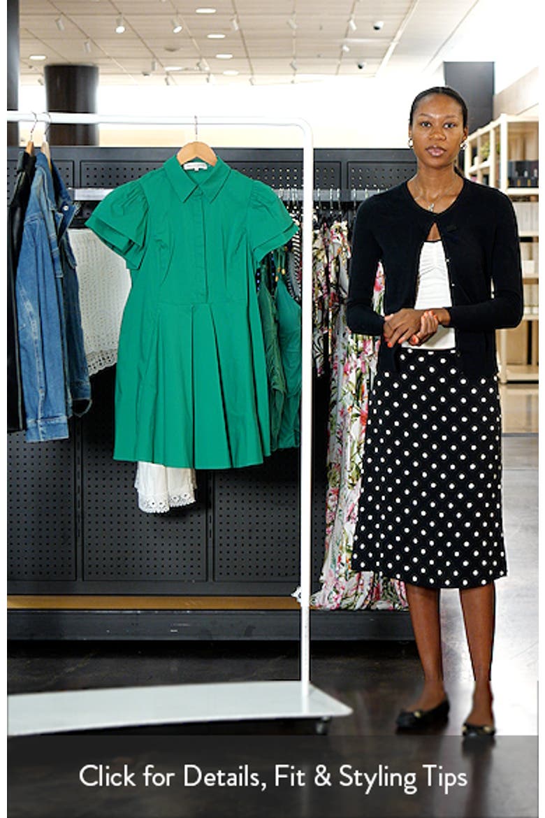 Ruffle Sleeve Flare Mini Shirtdress video