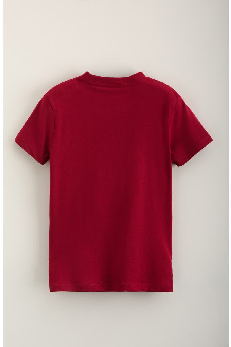 Kids' Graphic T-Shirt, Alternate, color, RED CINDER BONEY BOARD