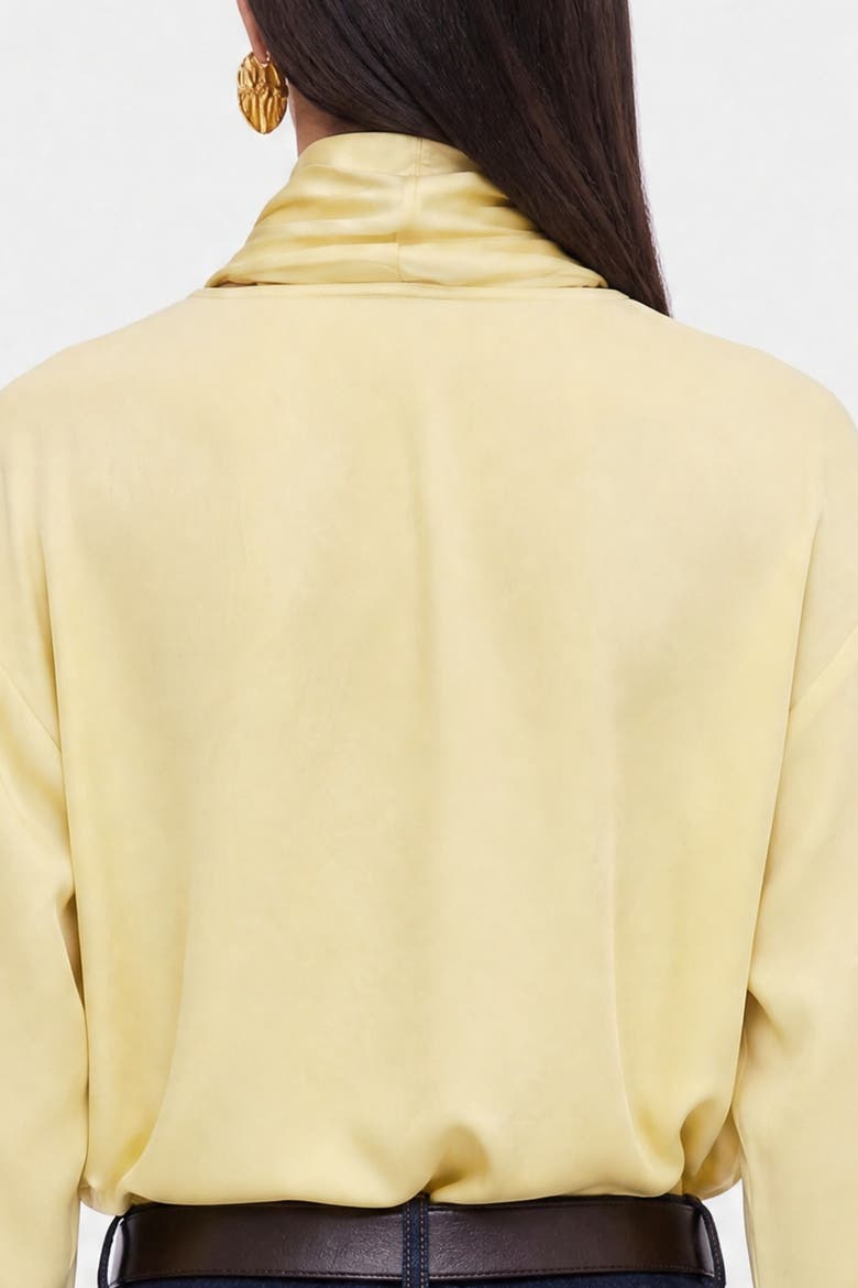 Button Front Shawl Collar Blouse, Alternate, color, Yellow