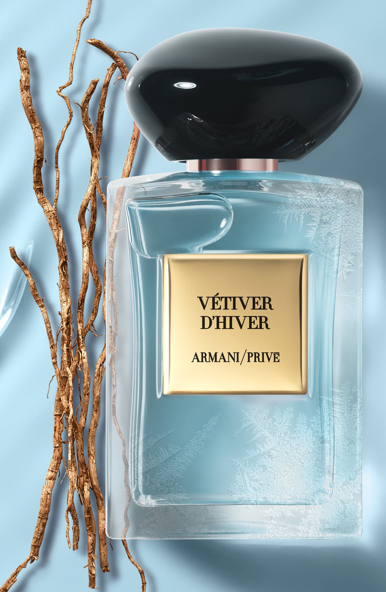 vétiver d hiver