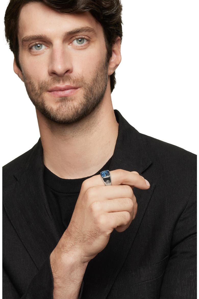 'Exotic Stone' Signet Ring in Silver, Alternate, color, PIETERSITE