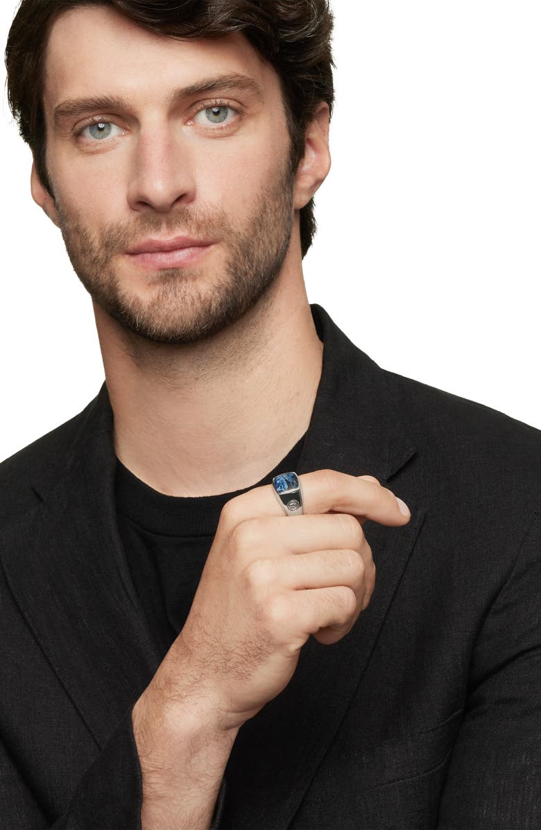 David Yurman 'Exotic Stone' Signet Ring in Silver, Alternate, color, 