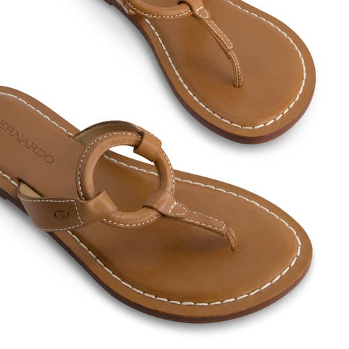 Shop Bernardo Footwear Matrix 2 Thong Sandal In Luggage