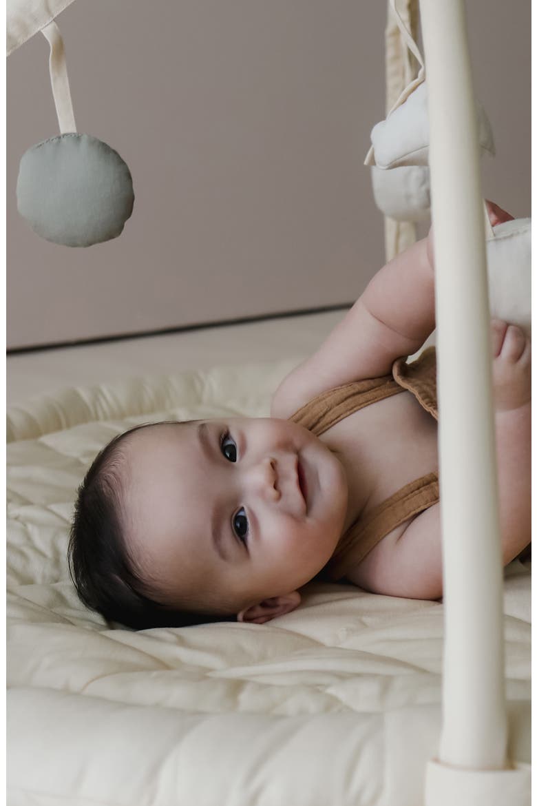 Play Gym, Alternate, color, MULTICOLOR