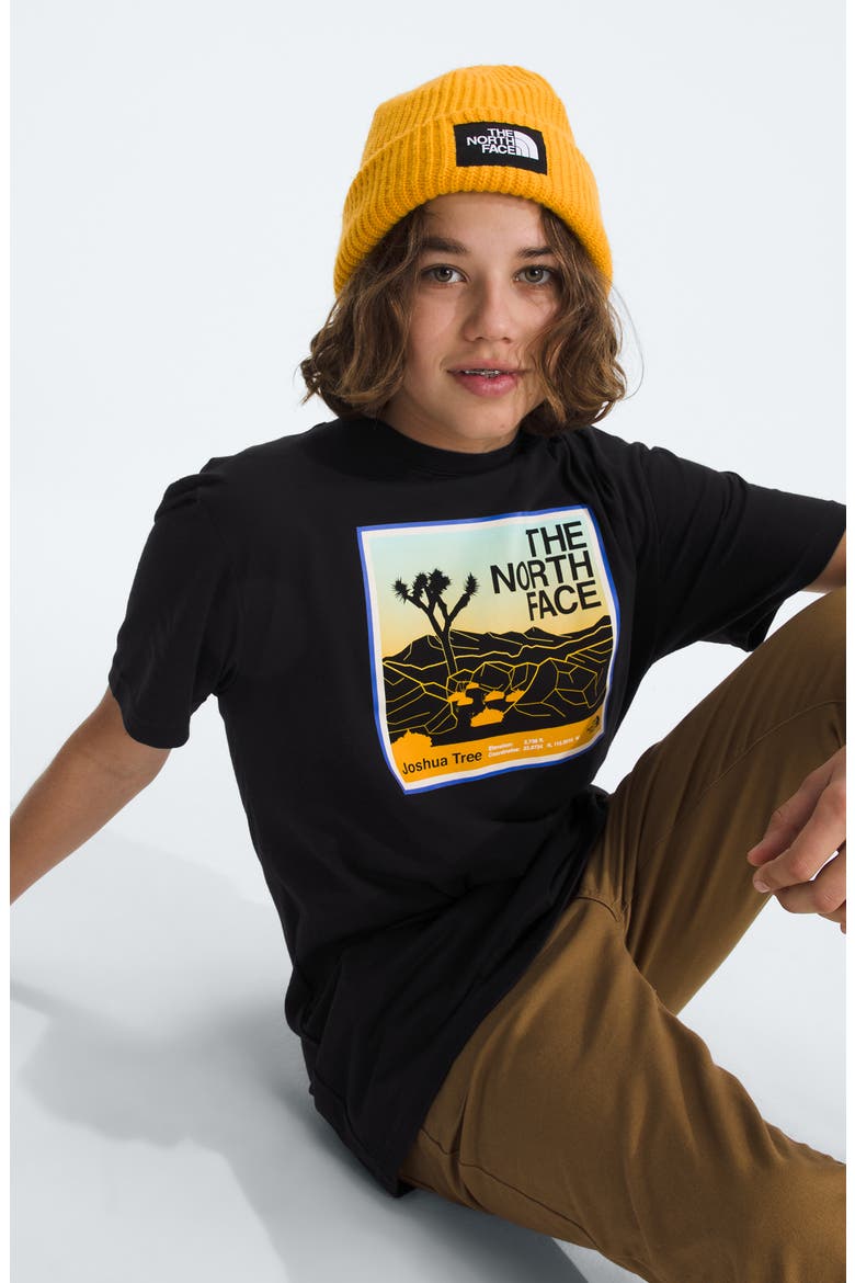 Kids' Adventure Cotton Graphic T-Shirt, Alternate, color, THE NORTH FACE BLACK