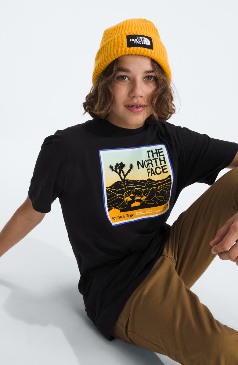 The North Face Kids' Adventure Cotton Graphic T-Shirt, Alternate, color, 