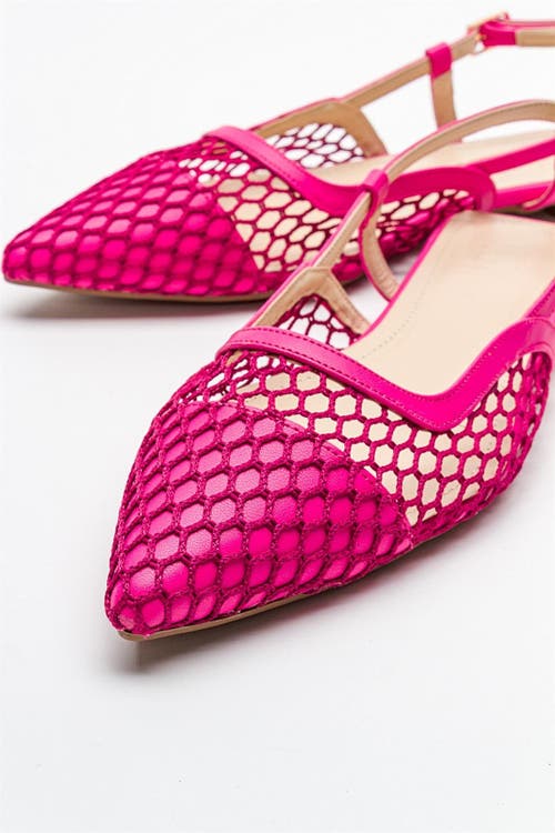 Prologue Shoes Brace Blue Mesh Flat Sandal