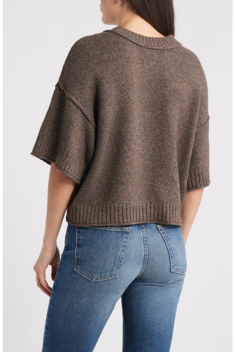 Broome Crop Short Sleeve Sweater, Alternate, color, EARTH