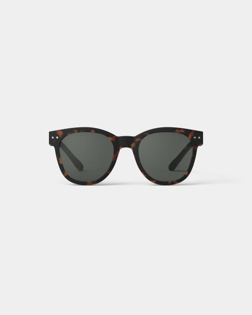 Izipizi Slmsnc02 #n C02 Wayfarer Sunglasses In Brown