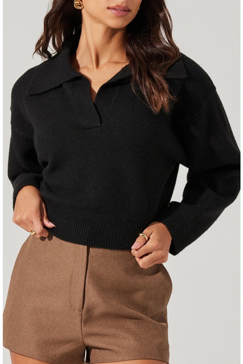 Crop Polo Sweater, Alternate, color, BLACK