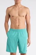 Nike 9" Volley Swim Trunks