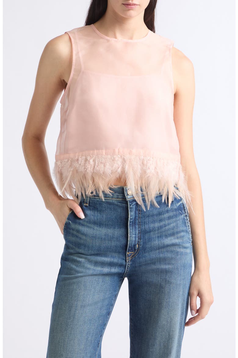 Avi Sleeveless Feather Trim Silk Top, Main, color, SANDROSE