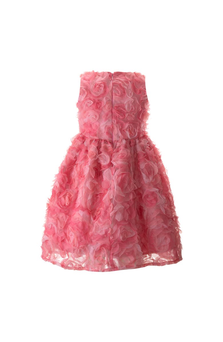 Rachel Riley Rosette Flutter Party Dress, Alternate, color, Pink