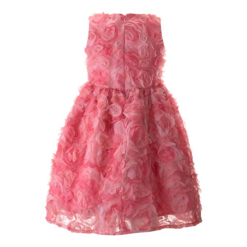 Shop Rachel Riley Rosette Flutter Party Dress In Pink