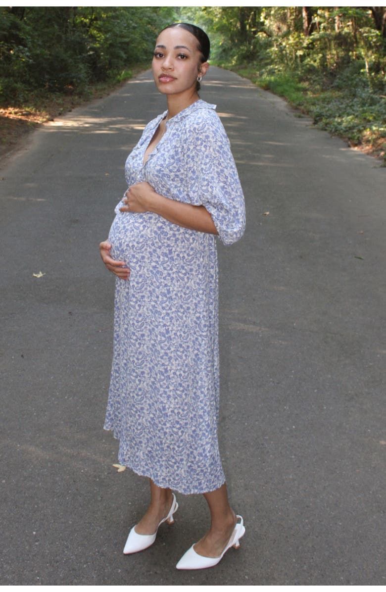 PinkBlush Floral Ruffle V-Neck Midi Dress, Alternate, color, Blue