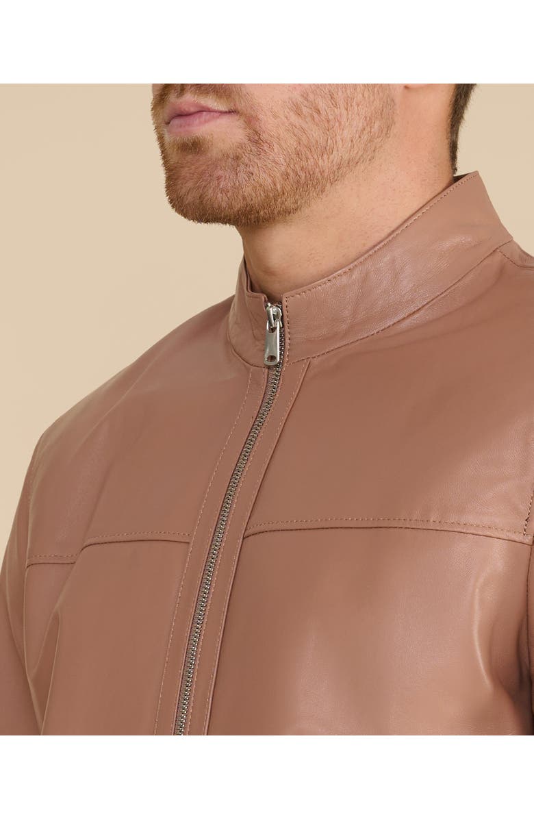 Furniq UK Otis Racer Leather Jacket, Alternate, color, Mocha Brown