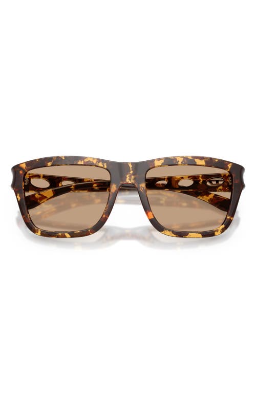 Diesel ® 55mm Gradient Square Sunglasses In Havana/solid Brown