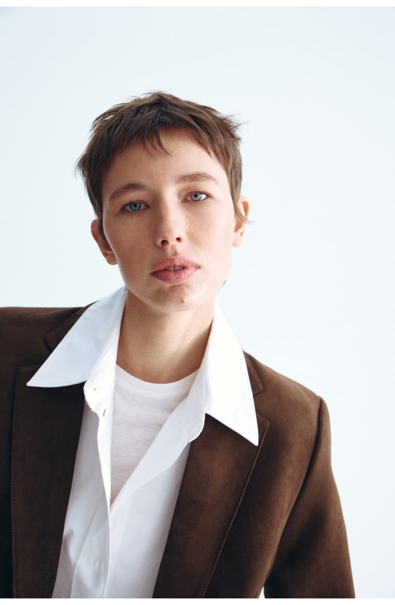 H&M Single-breasted Blazer, Alternate, color, Dark Brown