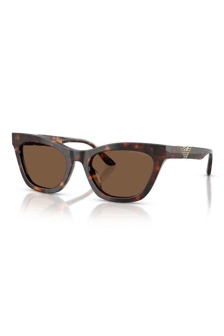 55mm Cat Eye Sunglasses, Alternate, color, SHINY HAVANA / BROWN