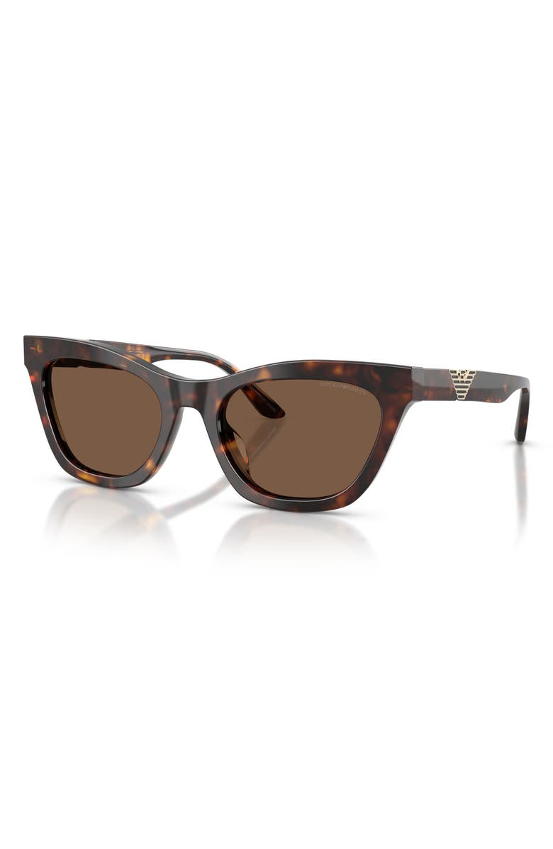 Emporio Armani 55mm Cat Eye Sunglasses, Alternate, color, Shiny Havana / Brown