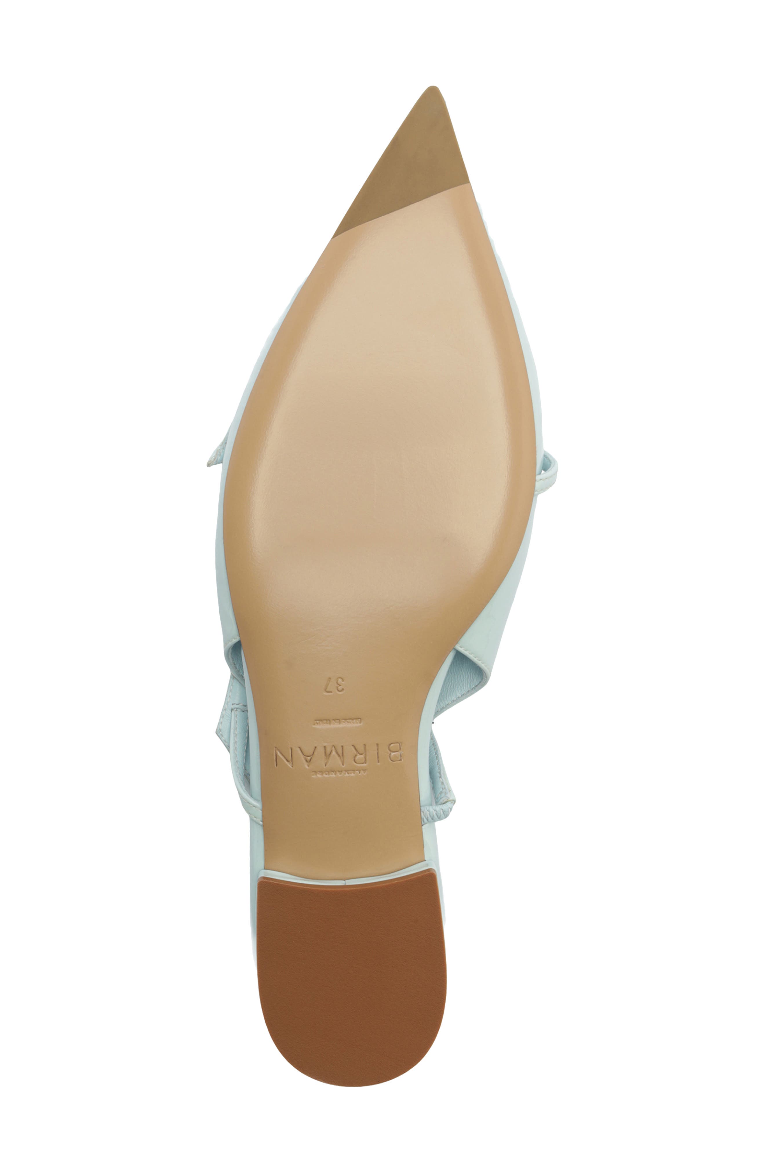 Tita Pointed Toe Slingback Flat, Alternate, color, DUST BLUE