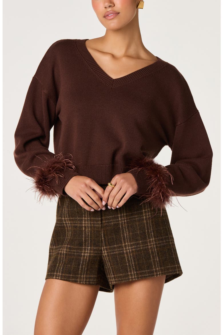 Perdita Feather Trim V-Neck Sweater, Alternate, color, BROWN