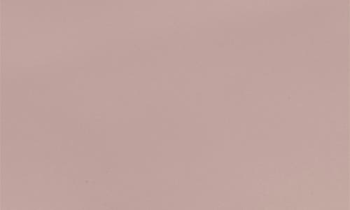 Hunter Top Clip Mini Backpack In Light Pink