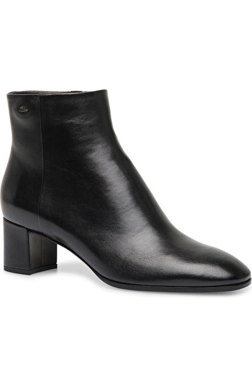 Santoni Halfrida Napa Zip Ankle Booties In Black