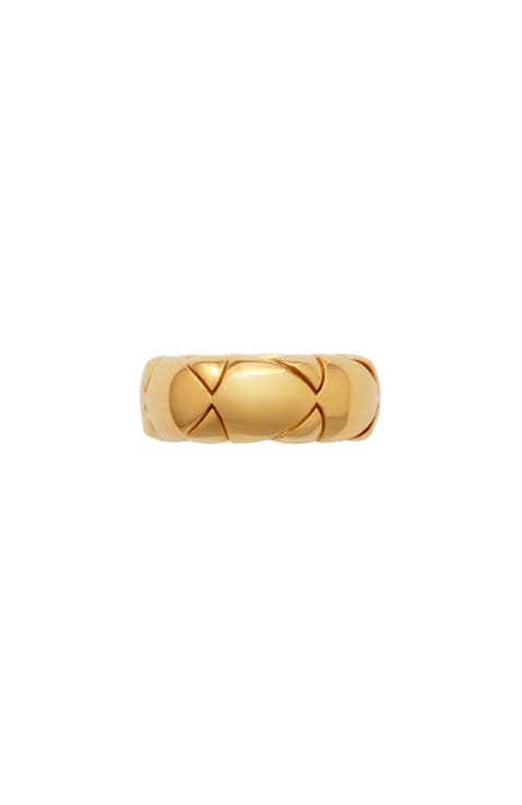 Shield Segment Ring